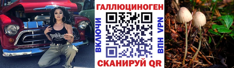 ссылка на мегу tor  Енисейск  Галлюциногенные грибы GOLDEN TEACHER 