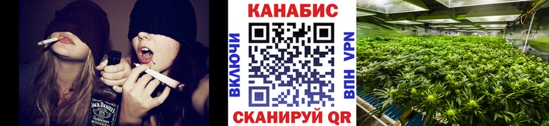 Конопля OG Kush  hydra ссылка  площадка формула  Енисейск 
